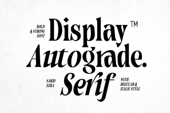 Autograde - Strong Bold Serif for Impactful Branding