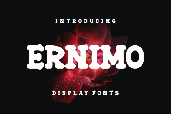 Ernimo: A Playful Display Font for Joyful Branding