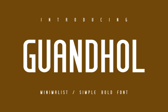 Guandhol Bold: A Designerβs Practical Take
